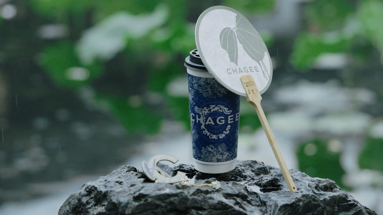 迎夏而立 观荷品茶